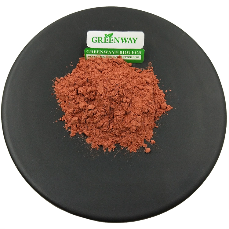 Skin Care Tomato Extract Raw Material Natural Colorant Pure Organic Bulk Anti-Oxidatio 99% Lycopene Powder