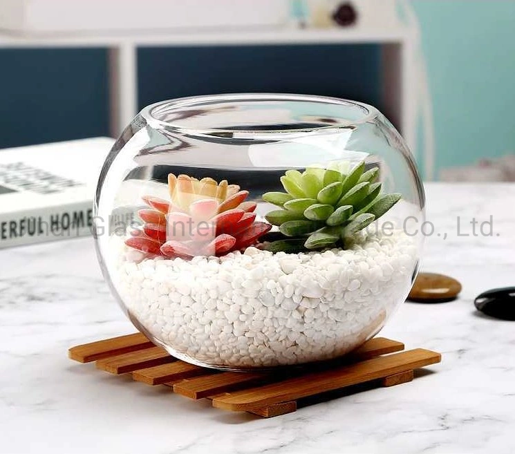 Commerce de gros poissons de taille de réservoir Réservoir rond en verre transparent Goldfish poisson bol