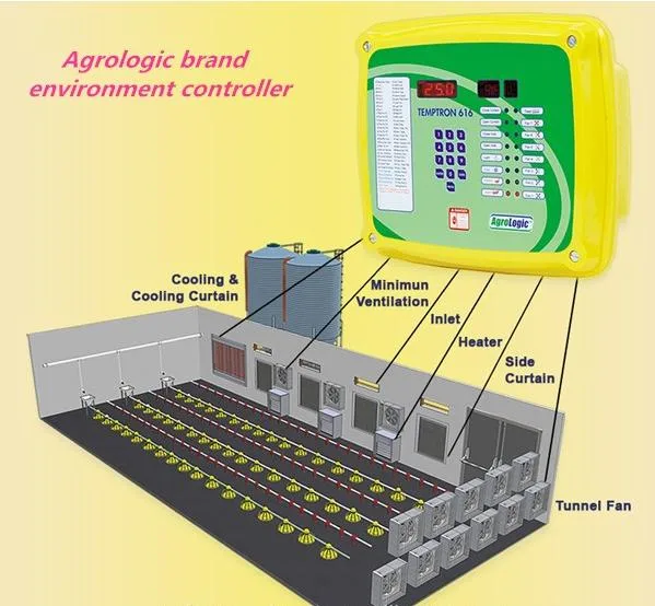 Suelo avicultura Equipo para el pollo broiler