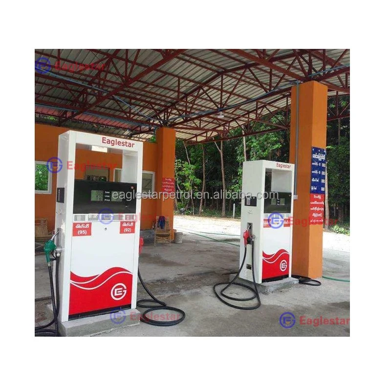 Eaglestar Eg3 Double Nozzles 2 Fuel Products Petrol Fuel Pump Machine Gas Dispenser for Gas Station