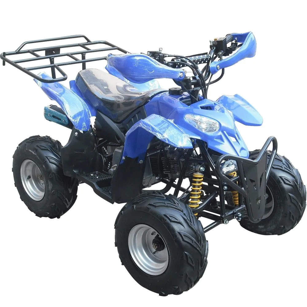 110cc 125cc Electric Start Big Wheel off Road 4 Stroke Adult Quad ATV for Sale