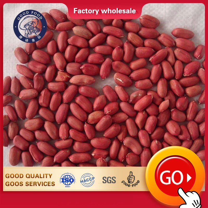 Dried Kernel Peanuts Groundnut Raw/Fresh Red Skin Arachid for Sale Craftsmanship