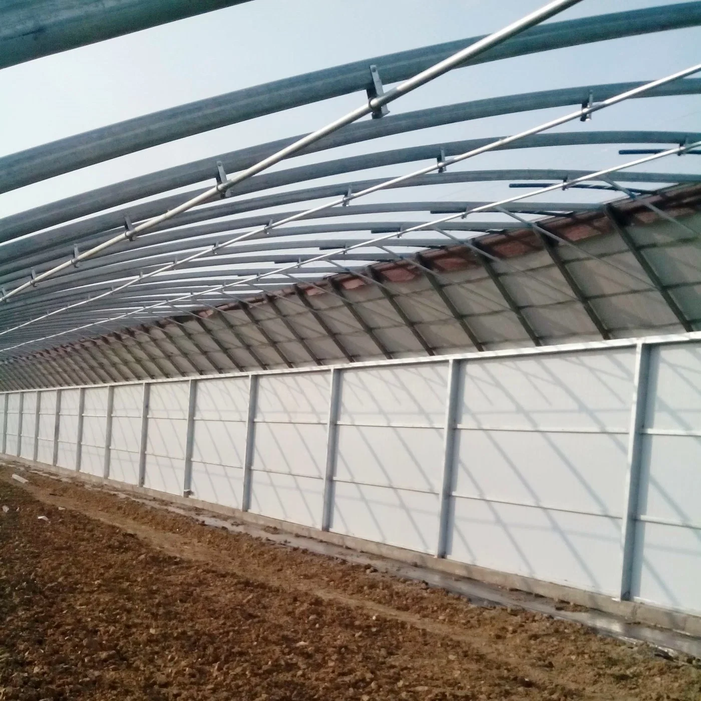 Muro de la junta compuesta de efecto invernadero Solar de la agricultura comercial de la casa verde de los Invernaderos de flores y verduras/reproducción de semillas