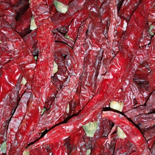 1cm Hot Red Chilli Cut Segment