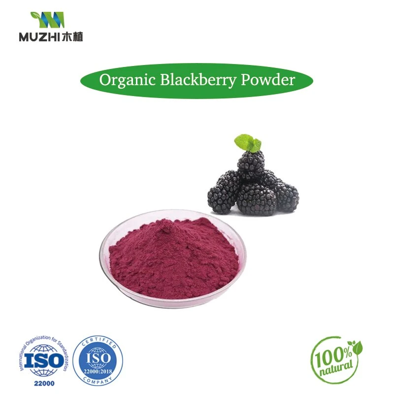 El polvo de Pitaya roja Orgánica Mayorista/Proveedor de fruta de dragón rosa polvo matcha