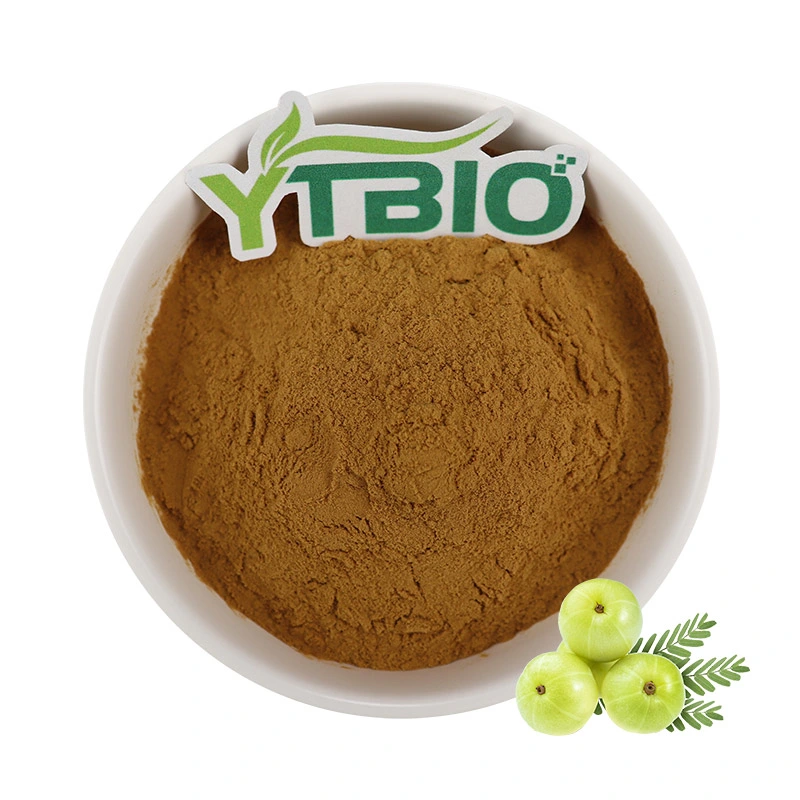 Hot Sale Amla Fruit Powder 100% Natural Amla Extract Powder