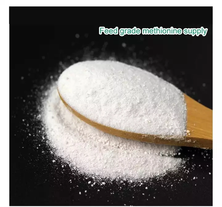 Feed Addtitive CAS 59-51-8 99 % Dl-Methionine Dl-Methionine Poudre