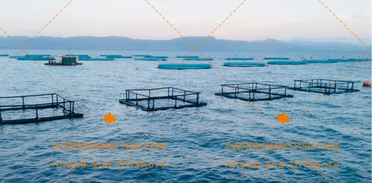 China Strong Long Lifespan HDPE Floating Fishing Net Cage for Square Aquaculture Fish Farming