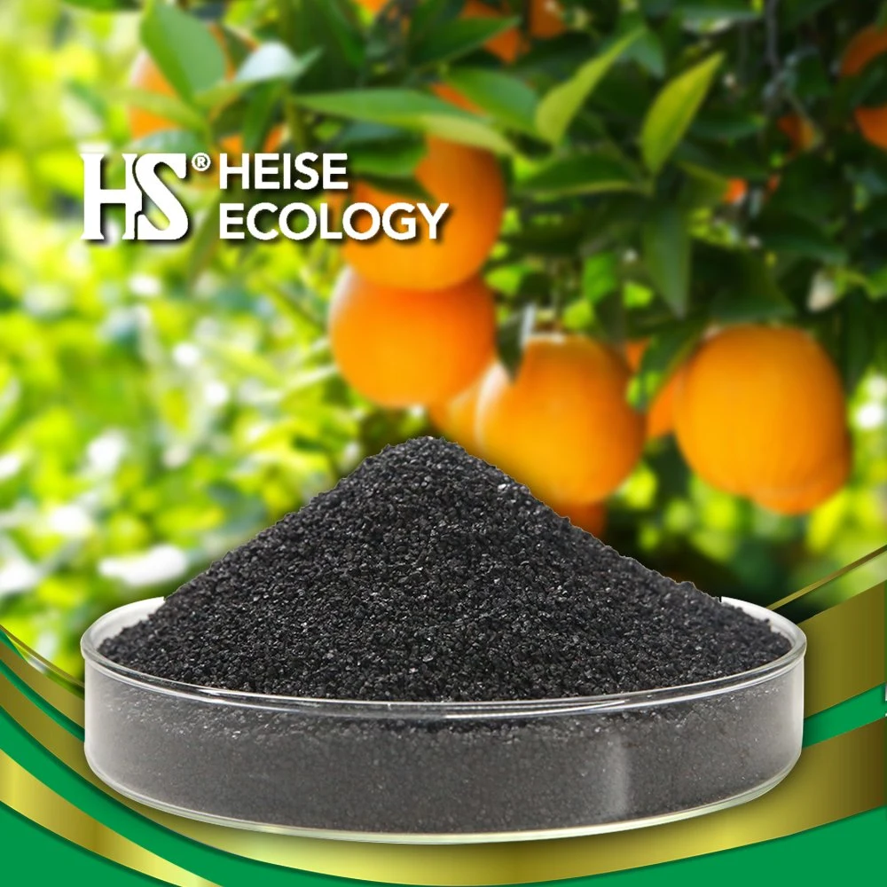 HS-Eco Solid 25kg Bags Purity: 100% Xinjiang China Humic Acid Humate