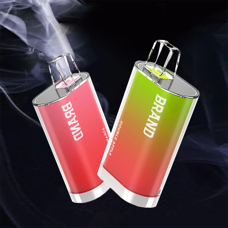 Shenzhen Factory Price 2% E CIGS Mesh Coil Disposable/Chargeable Vape 600 Puffs Electronic Cigarette Wholesale/Supplier Disposable/Chargeable Vape Pen