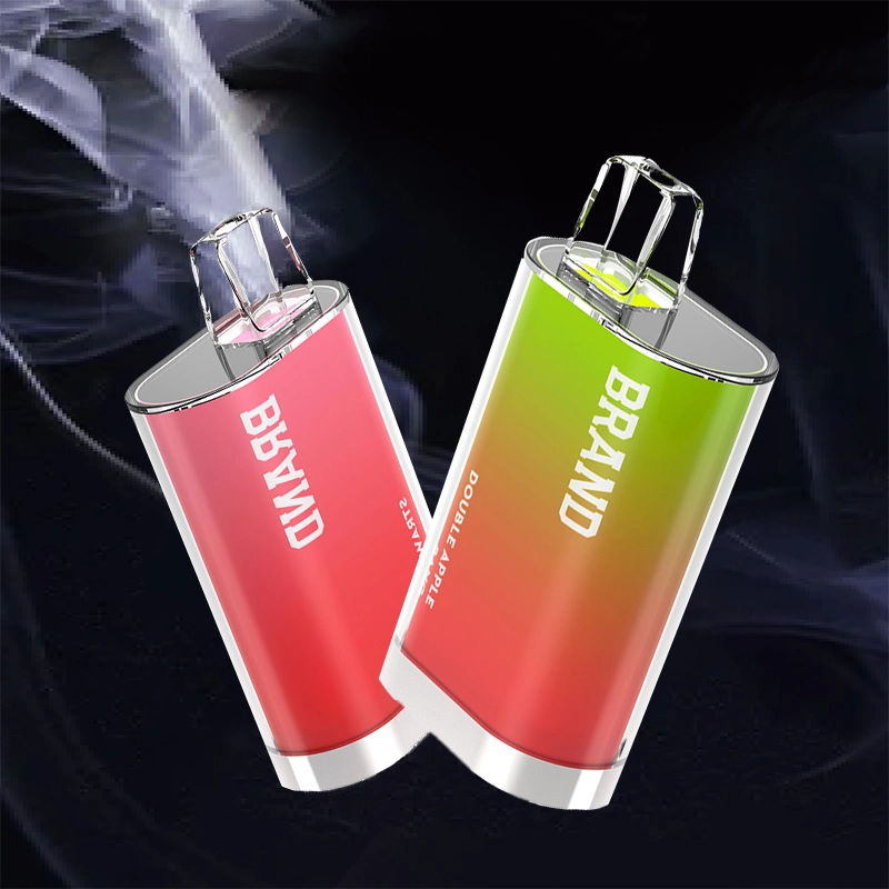 Shenzhen Factory Price 2% e CIGS Coil de malha Vape descartável 600 Puffs Electronic cigarro Atacado descartável Vape Pen