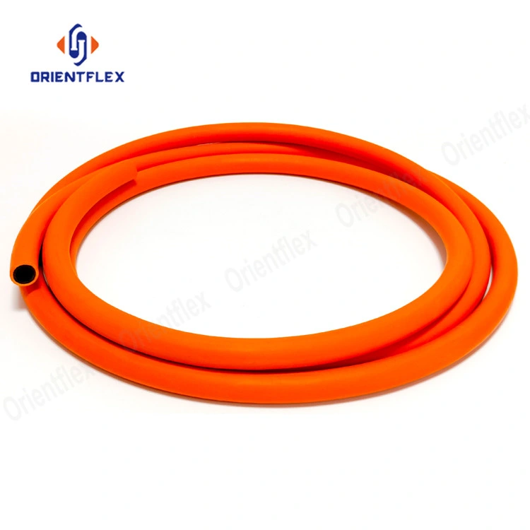 Flexible Cooking LPG BBQ PVC Argon Natural Gas Heater Extension Hose