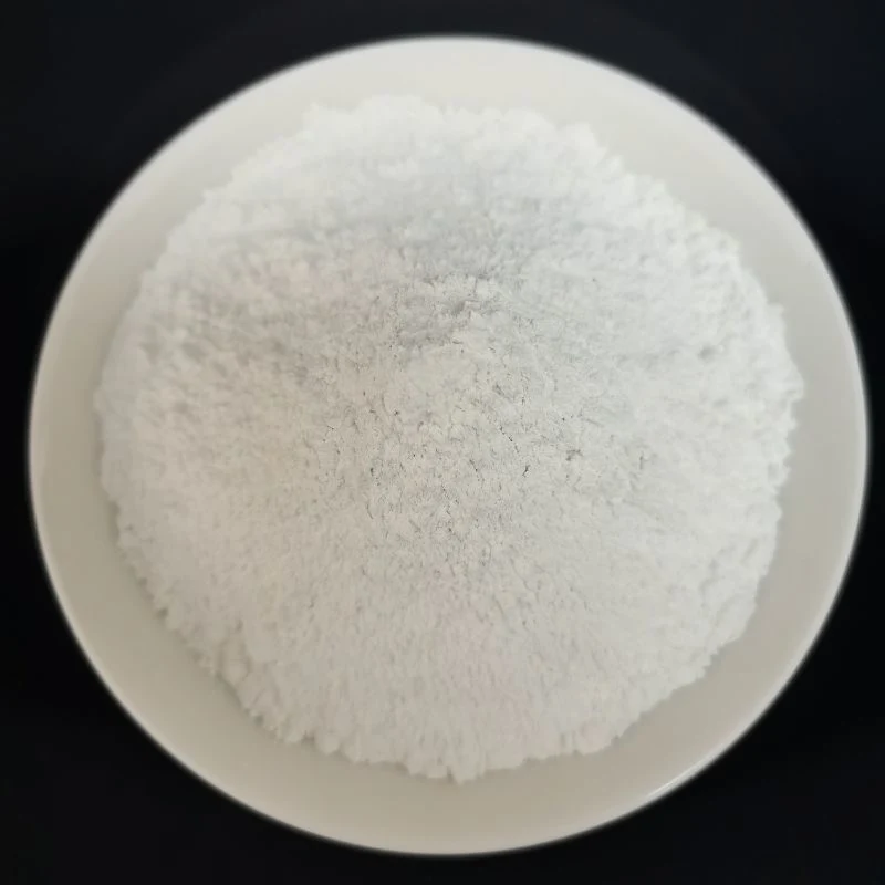 High quality/High cost performance  Titanium Dioxide Casa 13463-67-7 TiO2 Powder Chinese Good Priceindustrial Grade