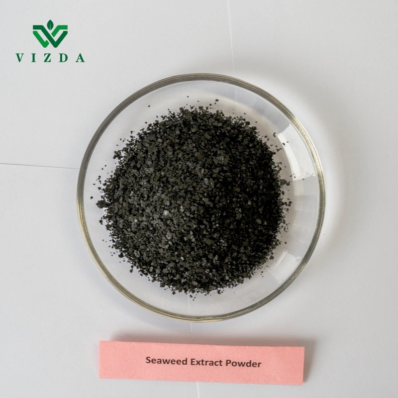 Natural Plant Growth Stimulant High-Water Solubility Seaweed Extract