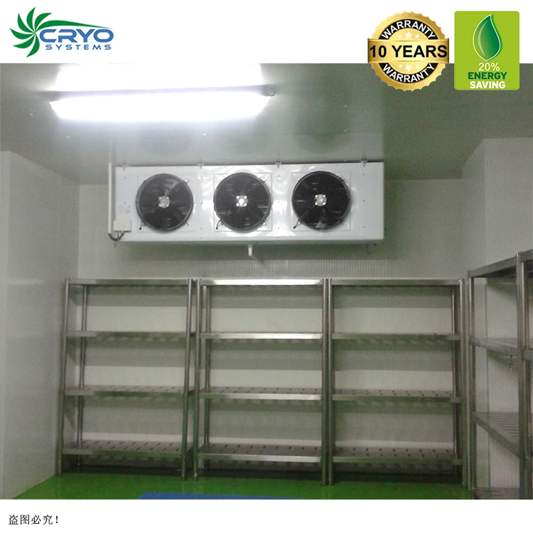 White Onion Water Melon Seeds Cold Storage Room Ventilation Bally Cold Room Cold Storage for Onion