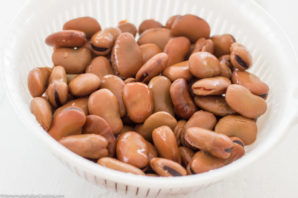 Canned Fava Beans Exported to Middle East