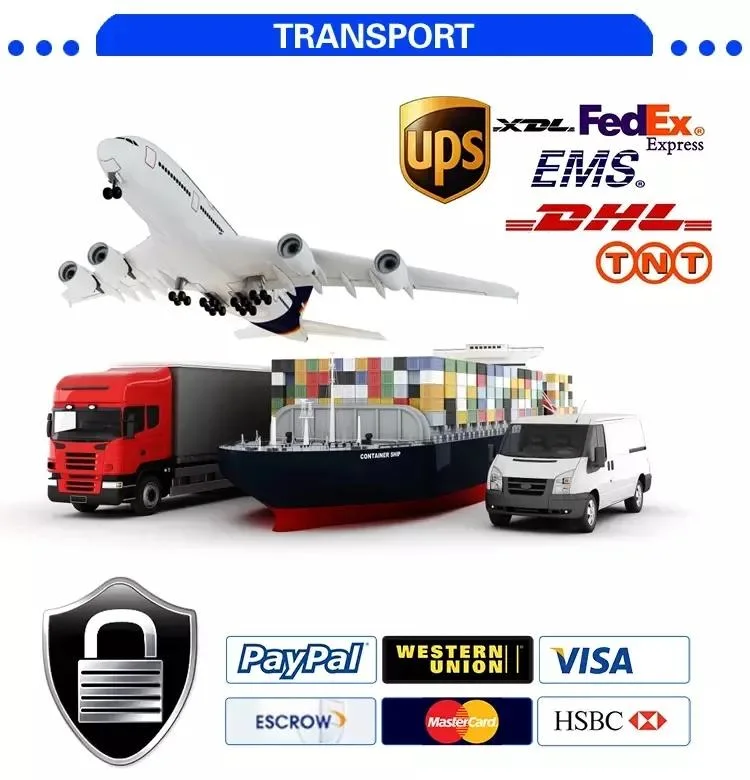 Faster Shipping Delivery Agent by DHL/FedEx/ UPS/ TNT,