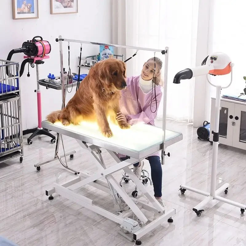 CE ISO Approved Pet Beauty Salon Products Electric Stainless Steel Pet Grooming Table for Dogs