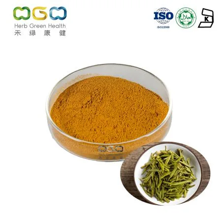 China Fabricante Herbal soluble en frío bebidas a granel Precio Instant Verde Polvo de té