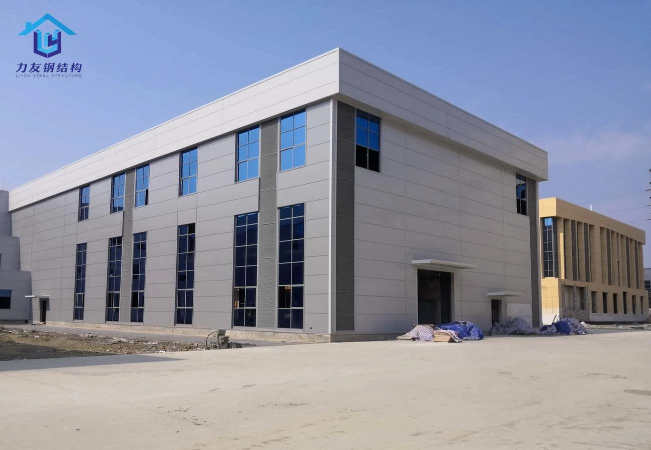 Steel Structure Canopy Poultry Frame Pre-Steel Construction Steel Structure Warehouse Building for Factory