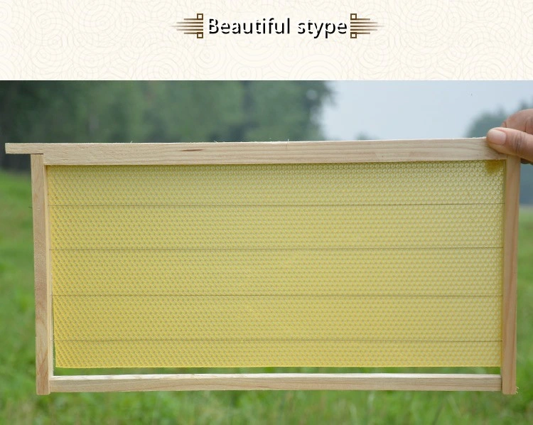 Bee Frame مع Bee Wax Foundation Sheet التي تم تجميعها في عمق الخشب Bee Hive Frame for Beeking (إطار نحلة الخلية لنحل