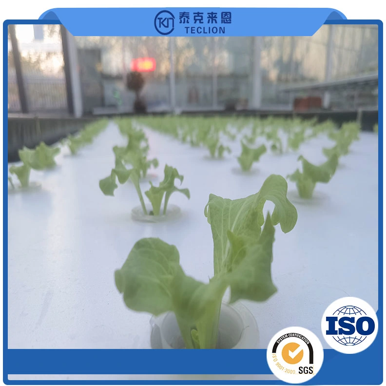 Nft Channel System Hydroponics Agricultural Leafy Vegetable Hydroponics System Professional Chinese Manufacturer