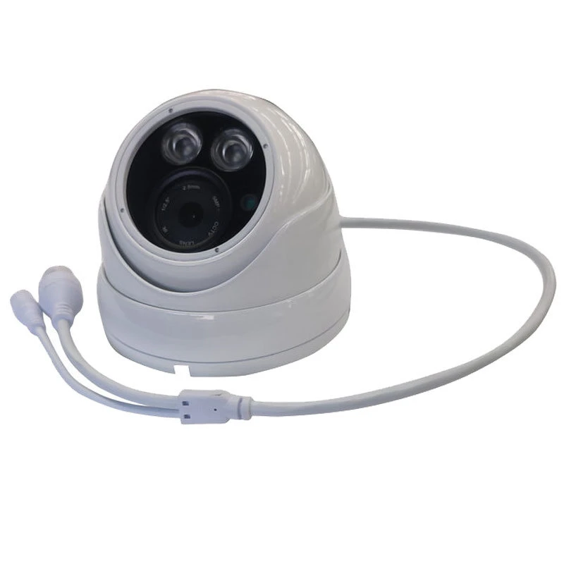 700TVL HD Caméra de vidéosurveillance IP de la sécurité imperméable intérieur/extérieur de la vision nocturne (SX-8804AD-7)