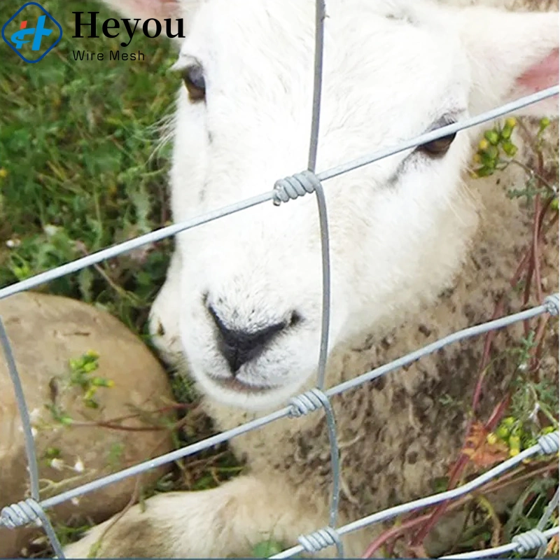 Dobradiça junta bovinos Fence Sturdy e escolha económica Horse Fence Para armários de vedação de explorações de vedação animal de cadeia rural e. Pasto ovelha arame Management