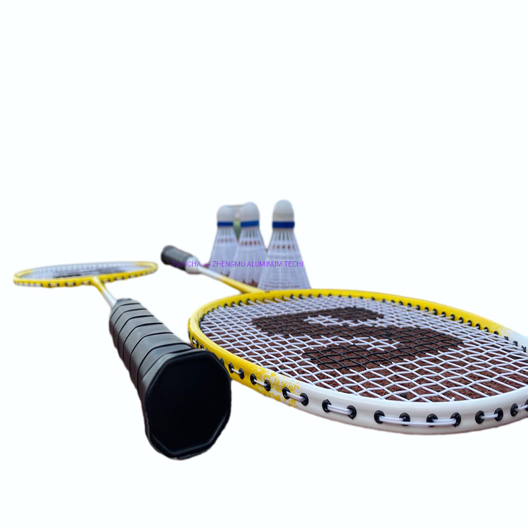 Portable 4 Players Racket Sports Set with Pole and Net for Outdoor Games