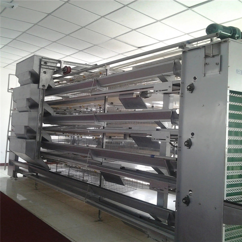 Automatic New Designed Agricultural Factory Price Poultry Equipment