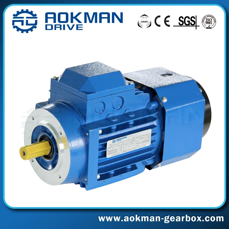 Variable Speed Low Rpm Gear Electric Motor with Brake