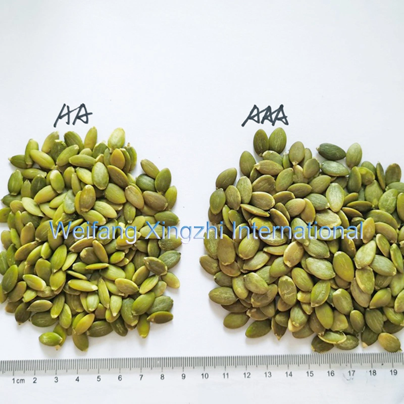 Cheap Price Export Standard New Crop Shine Skin Pumpkin Seeds Without Shell