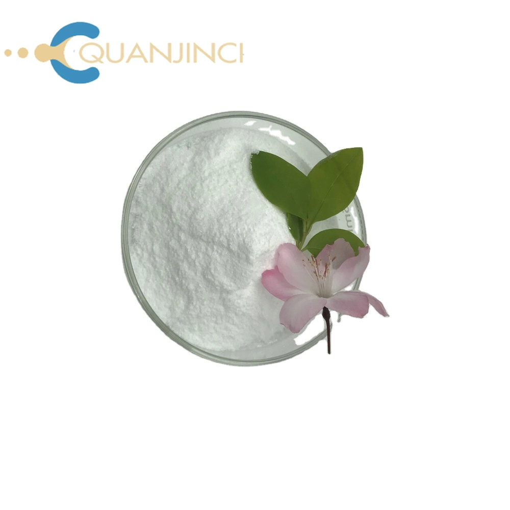 Factory Supply Anti-Cancer Natural Plant Extract Shikimic Acid CAS 138-59-0 Raw Material for Health with Good Price in Stock