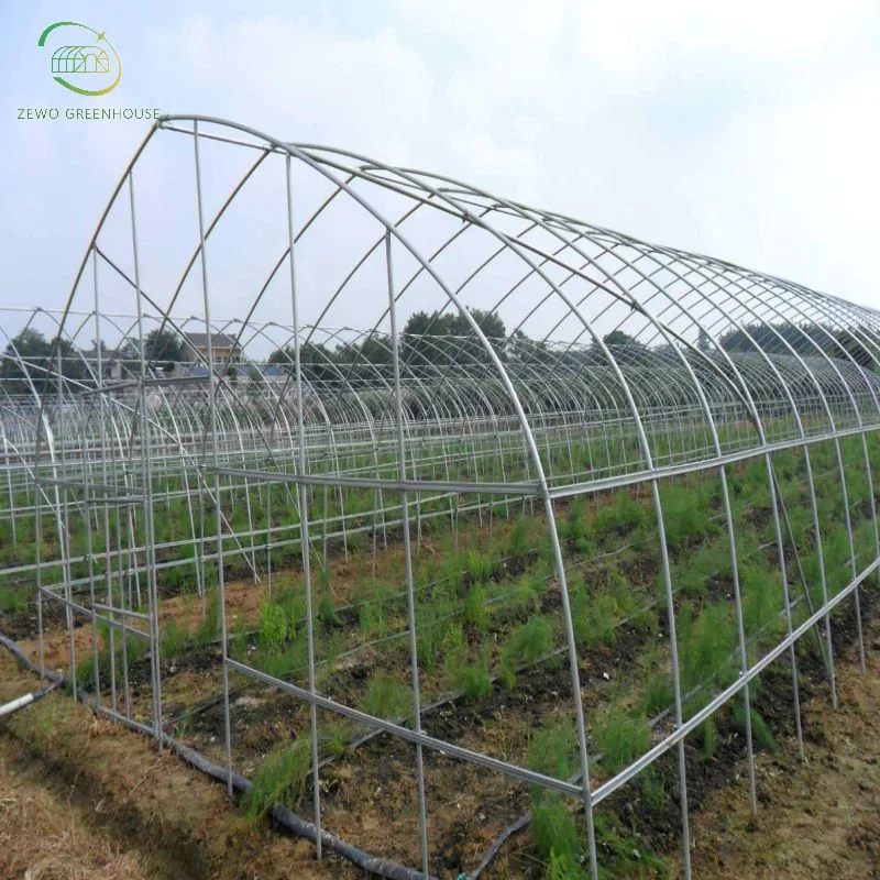 Cheap Agricultural Single Span Poly Film Tunnel Greenhouse with Irrigation and Hydroponics Growing System Spacious Greenhouse for Plants Medical Plants