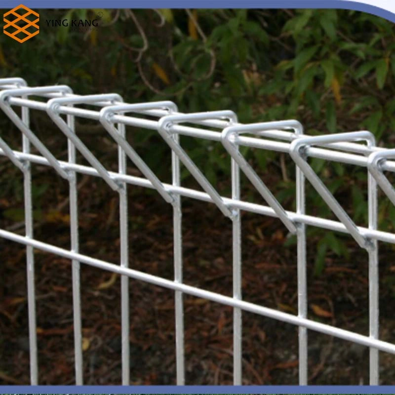 Black PVC Coated Welded Double Wire Mesh Fence / Galvanized 2D Panel Fence