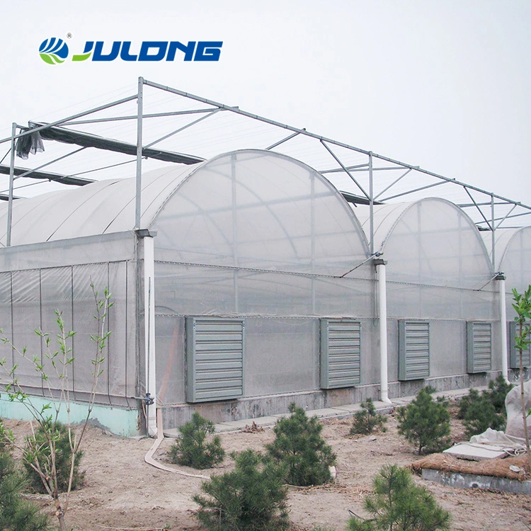 Túnel agrícola Hidroponia legumes crescentes Multi-Span Green House