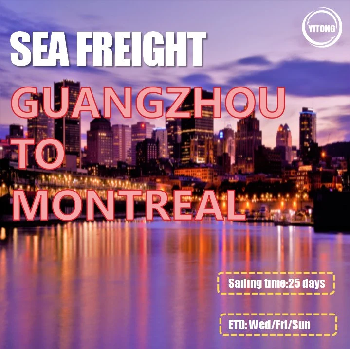 Vente en gros Guangzhou Mer de Chine Agent d'expédition de fret à Montréal Canada