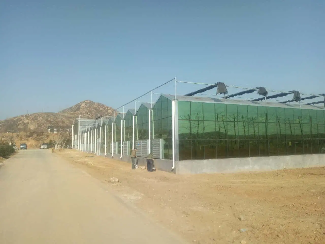 Faible coût seul tunnel serre agricole Tropical de film plastique Green House avec système de culture hydroponique pour zone chaude