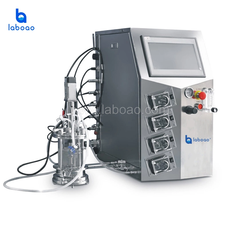 Laboao Automated Cell Screening 0.1L 1L Mini Fermenter Glass Bioreactor