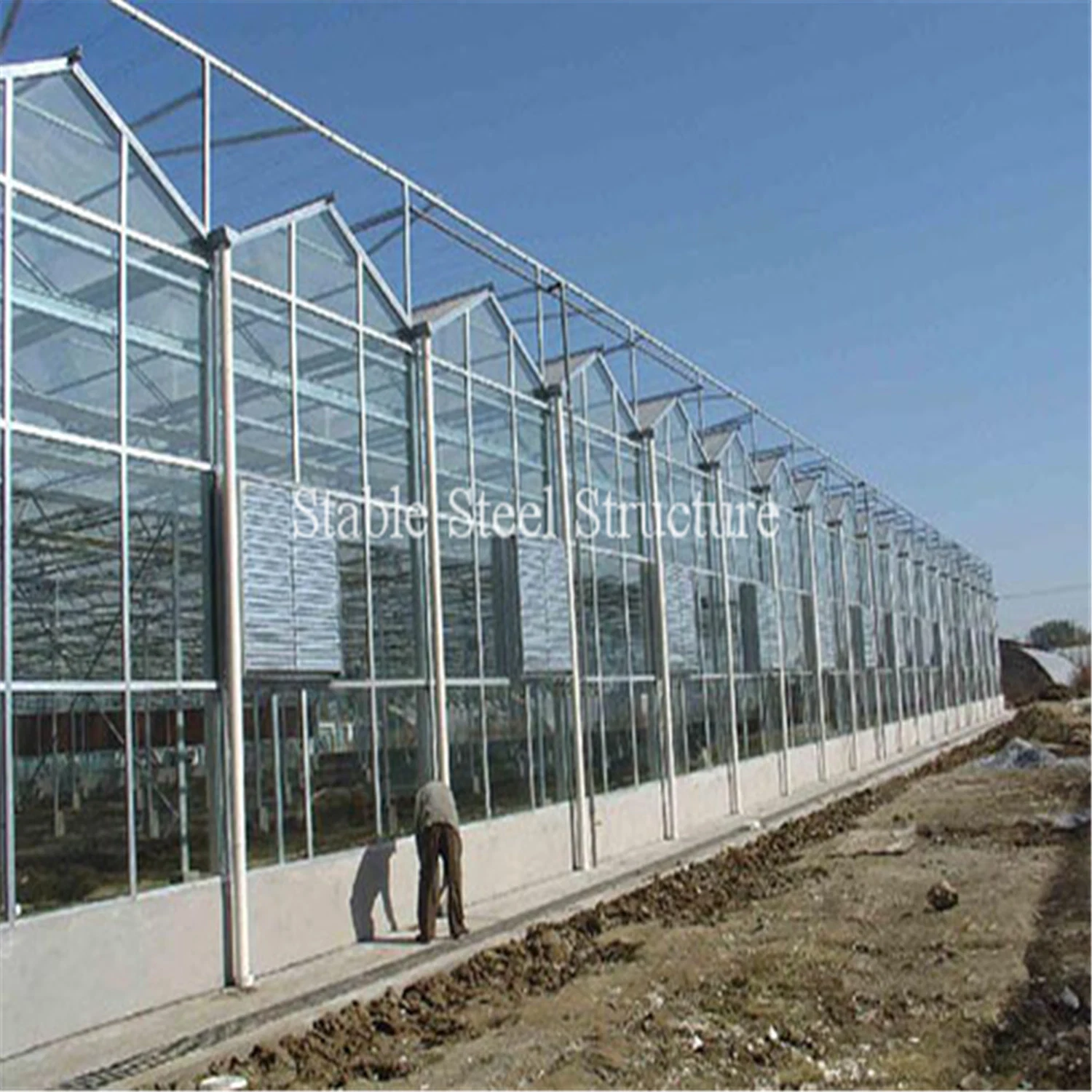 High Quality Plastic Film Green House for Planting Vegetables and Fruits