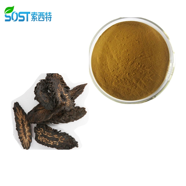 Best Price High quality/High cost performance  Cistanoside Cistanche Tubulosa Extract Powder