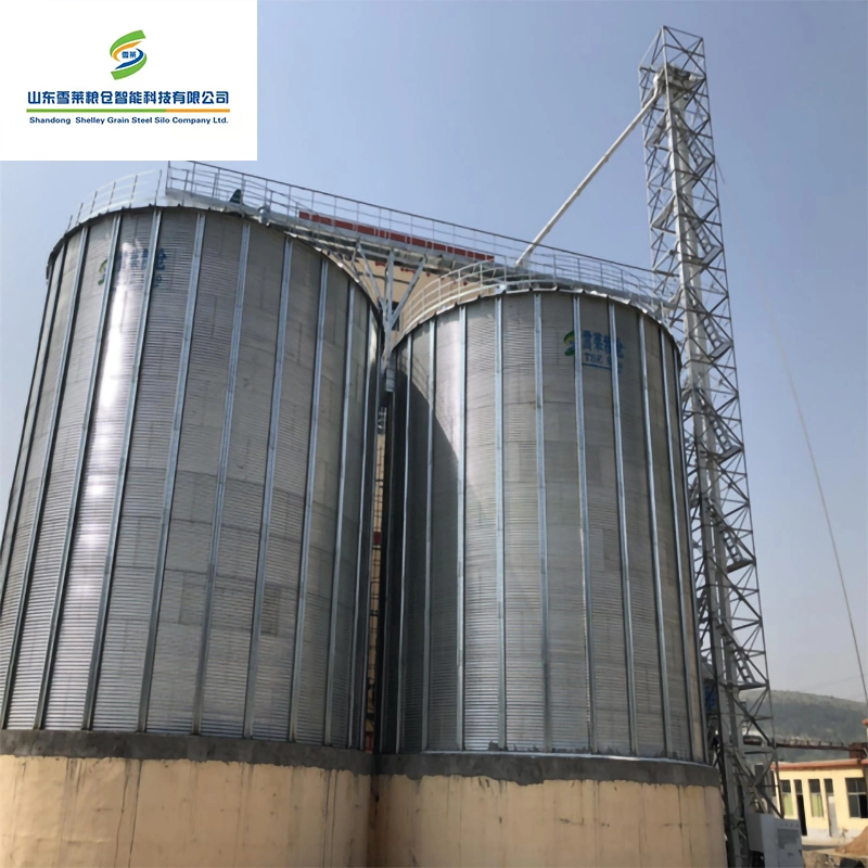 Le riz paddy Ferme de feuilles en acier galvanisé de stockage du grain des silos de la Chine usine