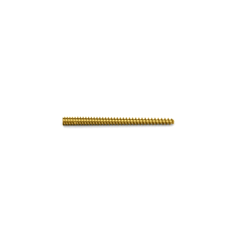 Orthopedic Surgical Medical Implant Cannulated Locking Plate Bone Screws