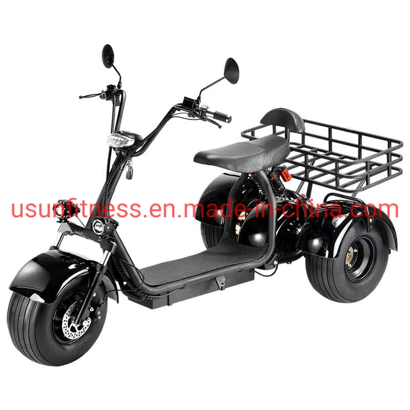 Special Vehicles for Farms and Gardens 3 Wheels Electric Scooter and Scooters Electric Motorcycle Tricycle Cargo