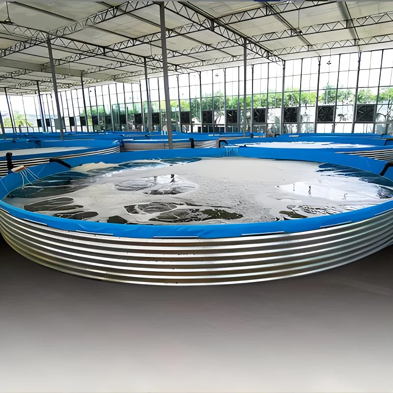 Réservoirs d'aquaculture pour l'élevage de poissons tilapia en intérieur et en extérieur