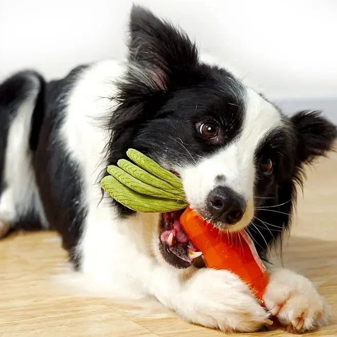 Hund Spielzeug unverwüstlich Naturgummi Welpen Hund Kauen Spielzeug für Langeweile Kleine Mittelgroße Rasse Hunde Quietschende Training Interaktiv