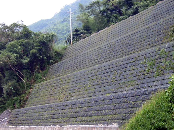 Proteção personalizada contra inclinações Black reforço na estrada construção de reforço de montanha PVC/asfalto Revestimento Geogrid Industrial de poliéster