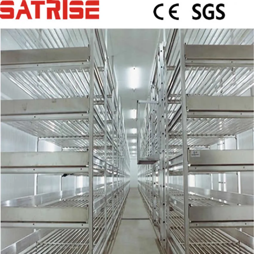 Satrise Button Mushroom Grow Shelves Usage in Mushroom Room