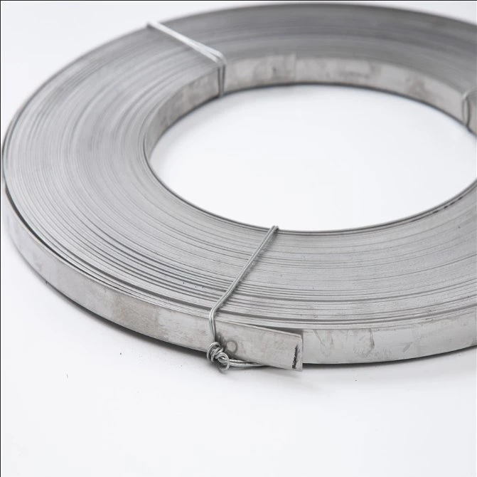 Stainless Steel Strip/Coil/Tape/Band for Sale with 1 mm Thickness ASTM 301 304 316 Cold Rolled