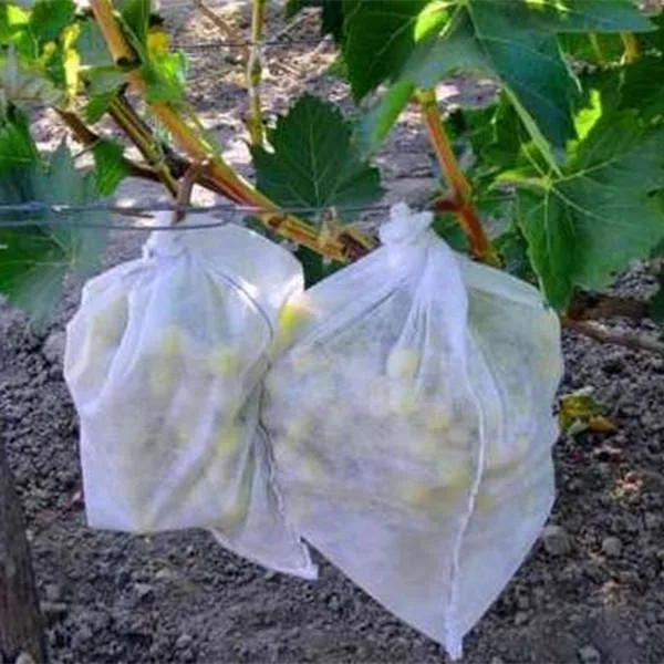 Biodegradable tratadas UV PP hilar la servidumbre de la bolsa de tejido sin tejer